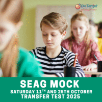 Transfer Test Mock for SEAG