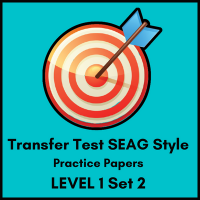 SEAG Style Transfer Test oaoers