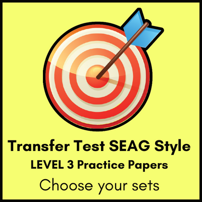 On Target Tuition Logo SEAG Test Test Paper Bundle for Level 3