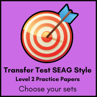 On Target Tuition Logo SEAG Transfer Test Paper Bundle for Level 2