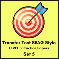SEAG Style practice papers